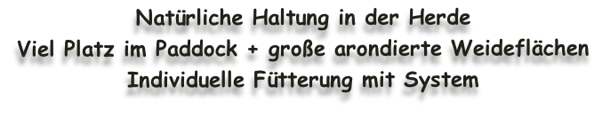 Natürliche Haltung in der Herde
Viel Platz im Paddock + große arondierte Weideflächen
Individuelle Fütterung mit System