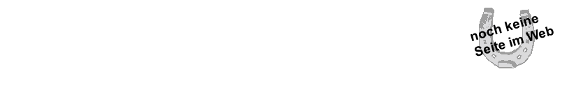 noch keine
Seite im Web